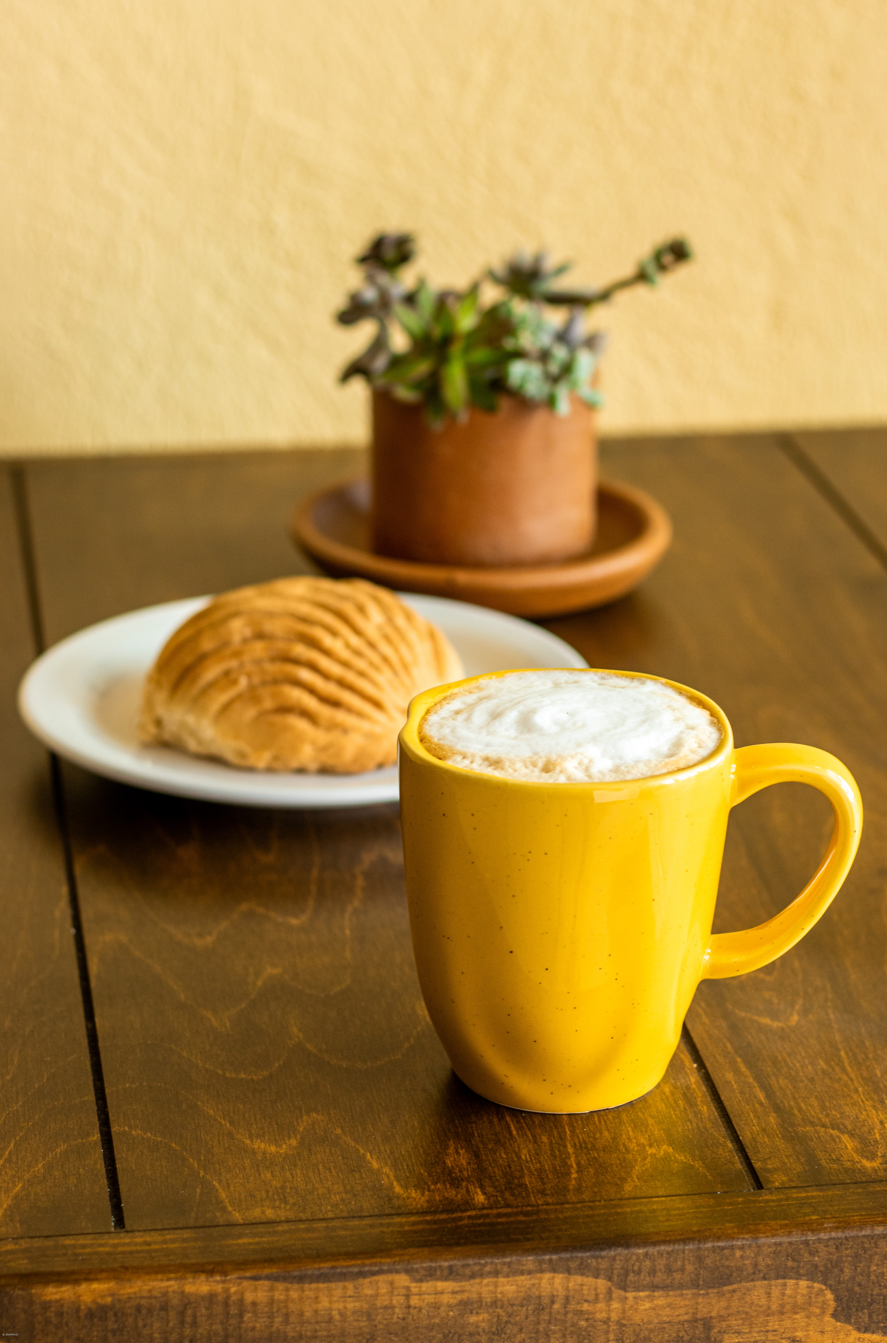 Platillo representativo de la misión