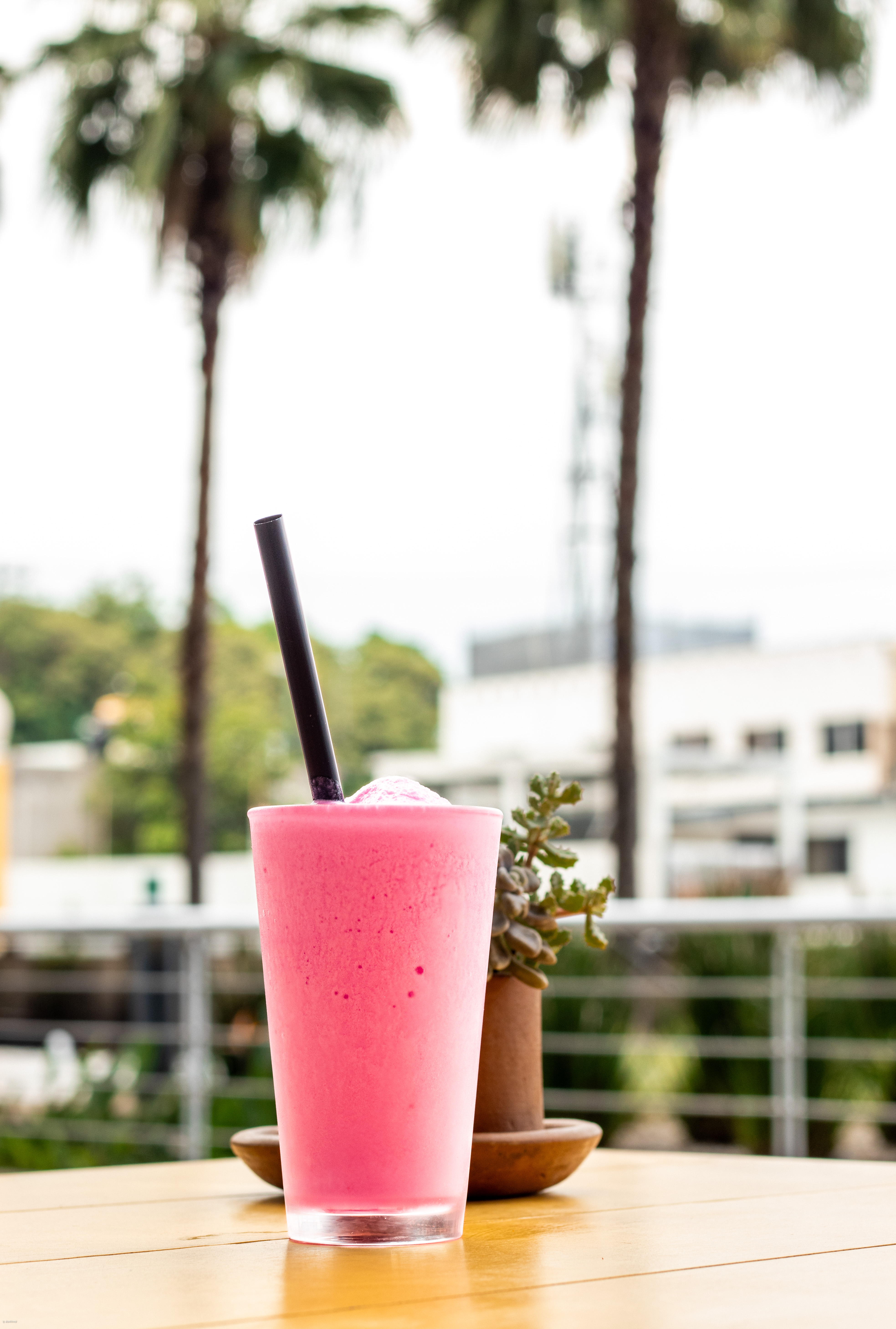 Platillo representativo de la visión