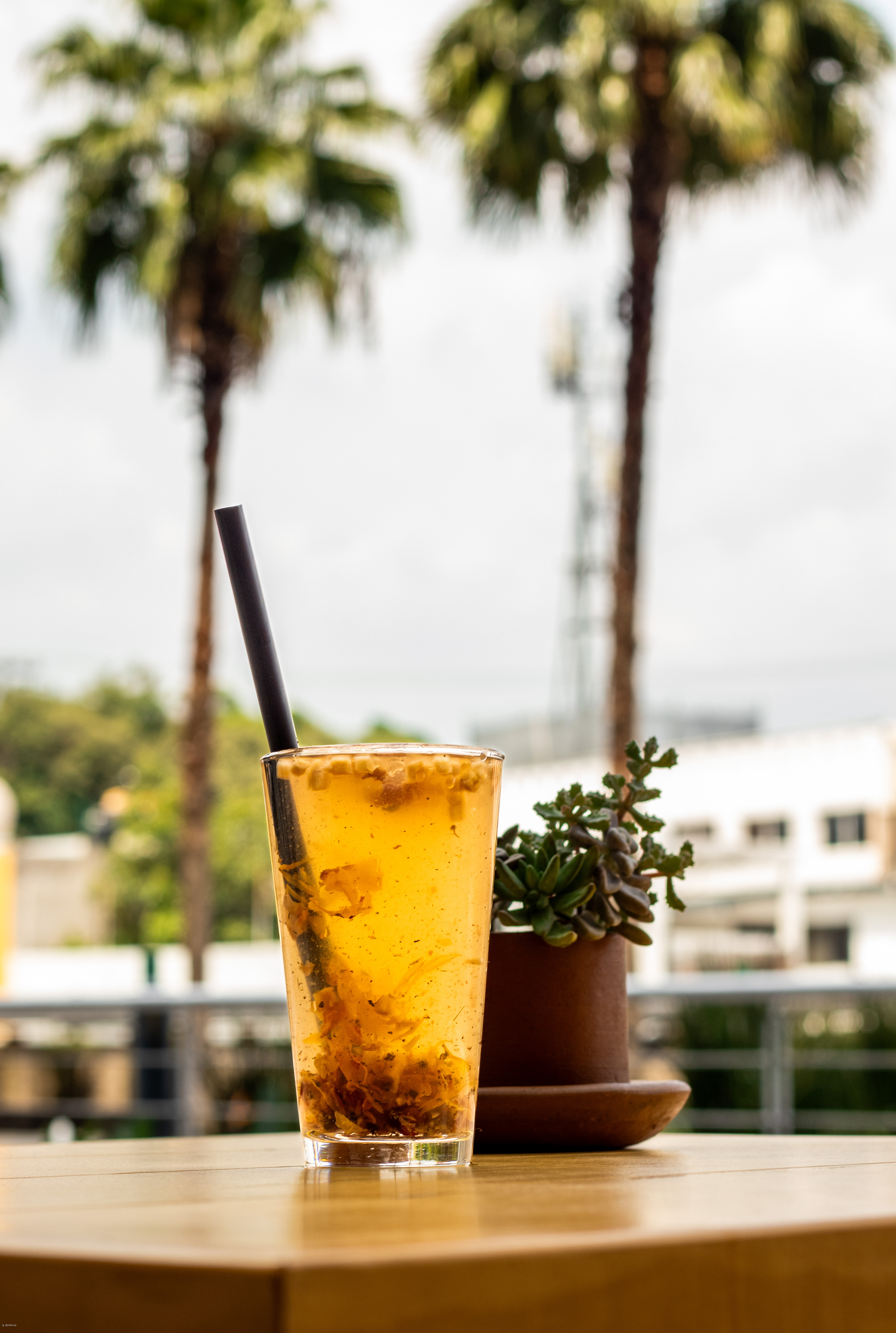 Platillo representativo del objetivo